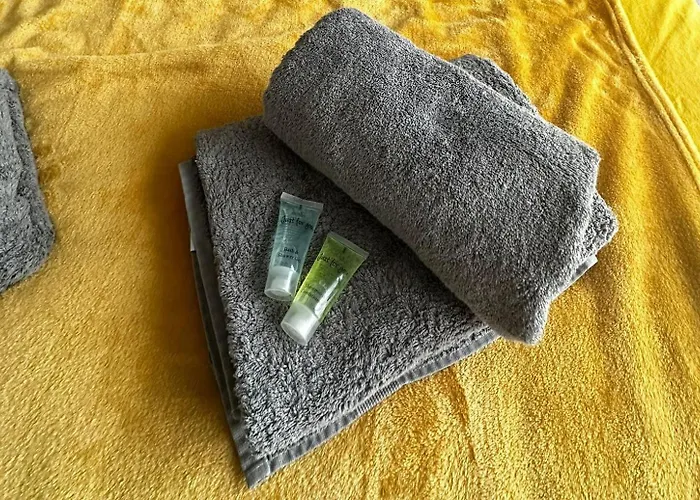 Appartement Hyper-centre et bord de mer avec clim et parking! Arcachon